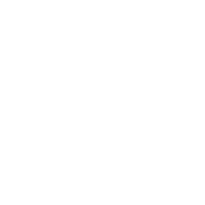 logo light